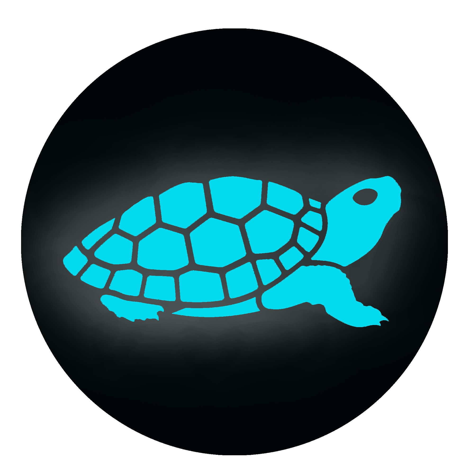 Terrapin 3D